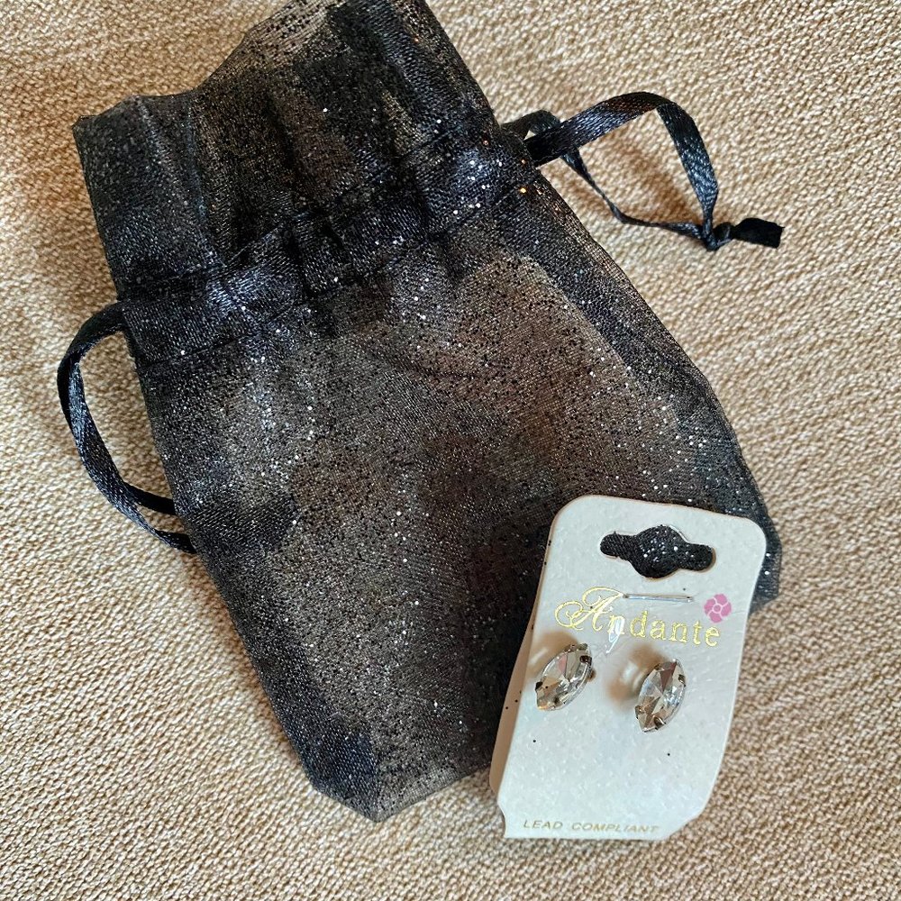 Andante brand new earrings